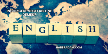 İngilizcede Vegetable Ne Demek?