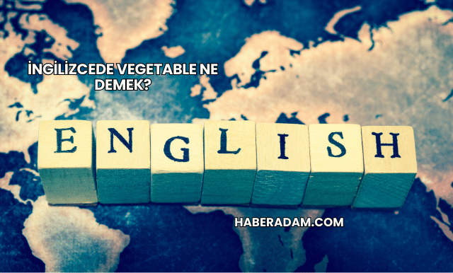 İngilizcede Vegetable Ne Demek?