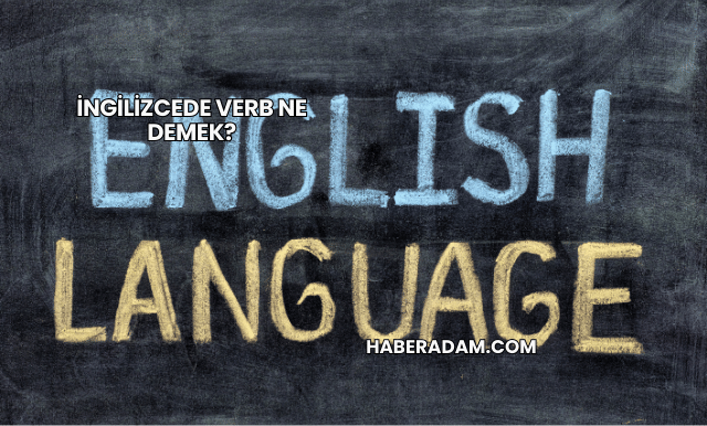 İngilizcede Verb Ne Demek?