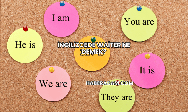 İngilizcede Waiter Ne Demek?