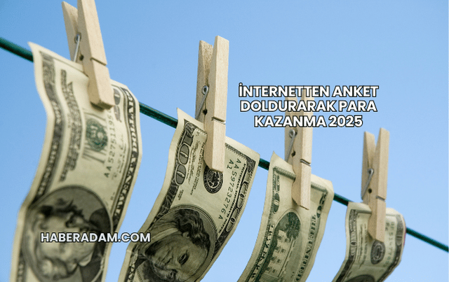 İnternetten Anket Doldurarak Para Kazanma 2025