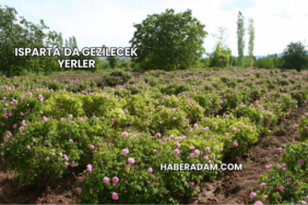 Isparta’da Gezilecek Yerler