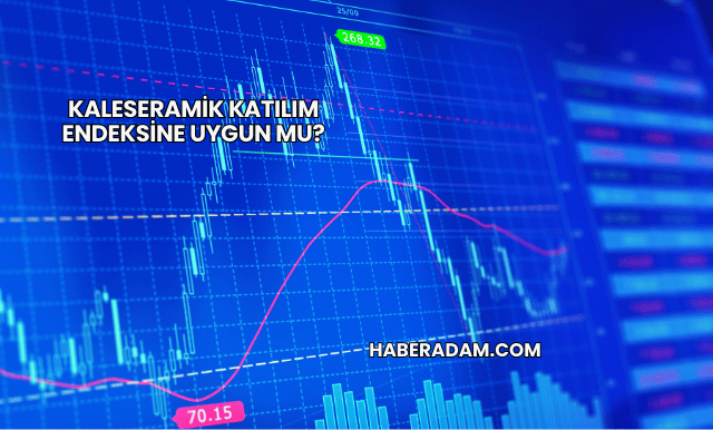 Kaleseramik Katılım Endeksine Uygun mu?