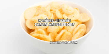 Karides Cipsinin Zararları Nelerdir?