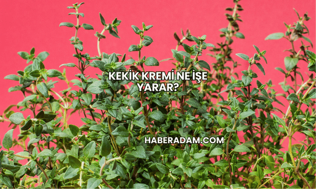 Kekik Kremi Ne İşe Yarar?