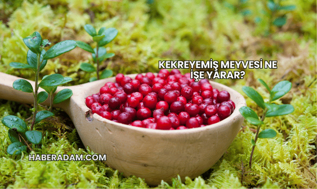 Kekreyemiş Meyvesi Ne İşe Yarar?
