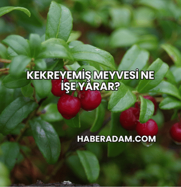 Kekreyemiş Meyvesi Ne İşe Yarar?