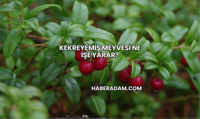 Kekreyemiş Meyvesi Ne İşe Yarar?