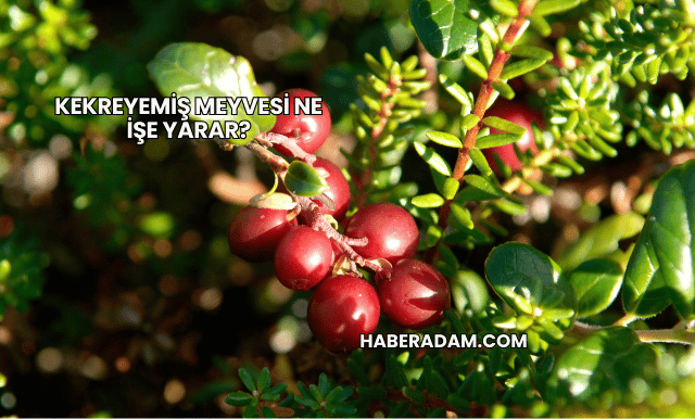 Kekreyemiş Meyvesi Ne İşe Yarar?