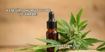 Kenevir Tohumu Tozu Ne İşe Yarar?