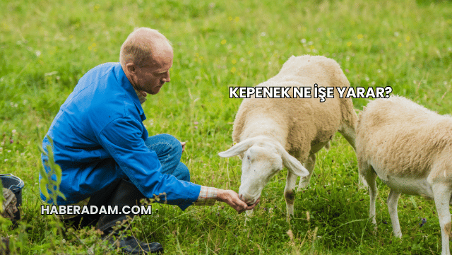 Kepenek Ne İşe Yarar?