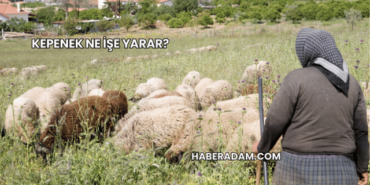 Kepenek Ne İşe Yarar?