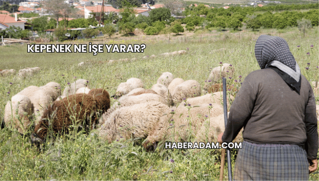 Kepenek Ne İşe Yarar?