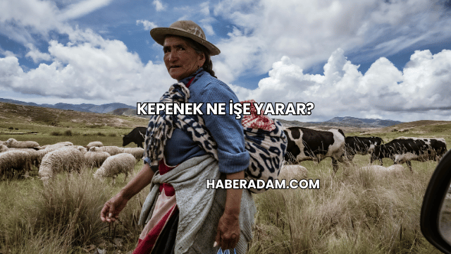 Kepenek Ne İşe Yarar?