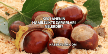 Kestanenin Hamilelikte Zararları Nelerdir?