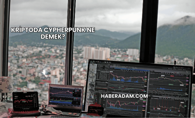 Kriptoda Cypherpunk Ne Demek?