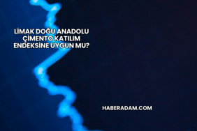 Limak Doğu Anadolu Çimento Katılım Endeksine Uygun mu?