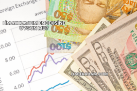 Limak Katılım Endeksine Uygun mu?