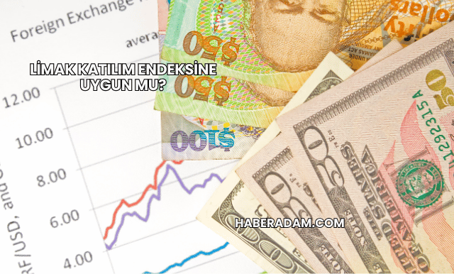 Limak Katılım Endeksine Uygun mu?