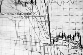 MIATK Katılım Endeksine Uygun mu?