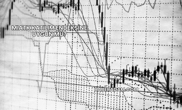 MIATK Katılım Endeksine Uygun mu?