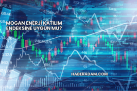 Mogan Enerji Katılım Endeksine Uygun mu?
