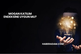 Mogan Katılım Endeksine Uygun mu?