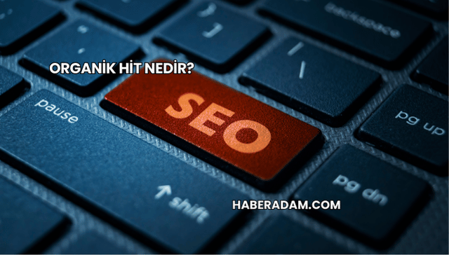 Organik Hit Nedir?