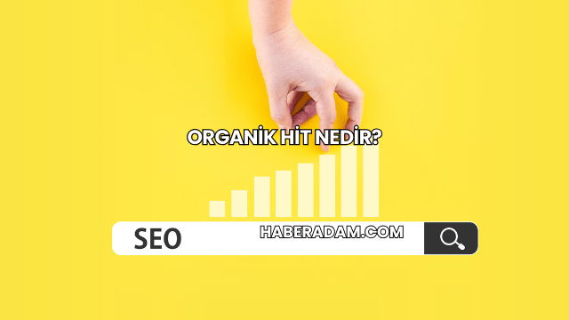 Organik Hit Nedir?