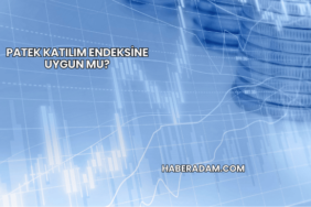 Patek Katılım Endeksine Uygun mu?