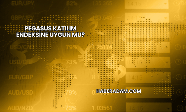 Pegasus Katılım Endeksine Uygun mu?