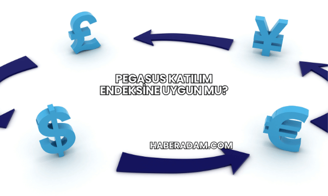 Pegasus Katılım Endeksine Uygun mu?