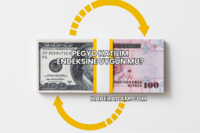 Pegyo Katılım Endeksine Uygun mu?