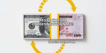 Pegyo Katılım Endeksine Uygun mu?
