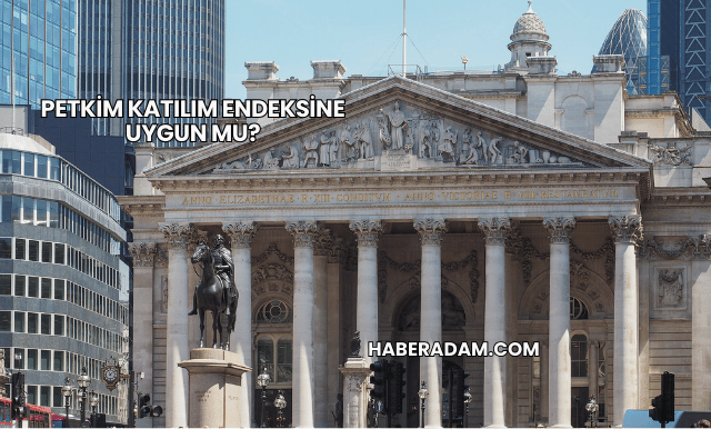 Petkim Katılım Endeksine Uygun mu?