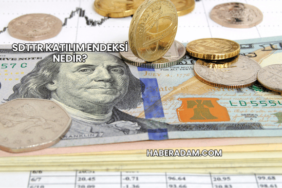 SDTTR Katılım Endeksi Nedir?