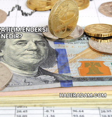 SDTTR Katılım Endeksi Nedir?