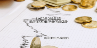 Sahol Katılım Endeksine Uygun mu?