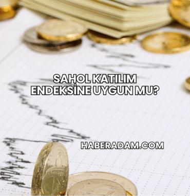 Sahol Katılım Endeksine Uygun mu?