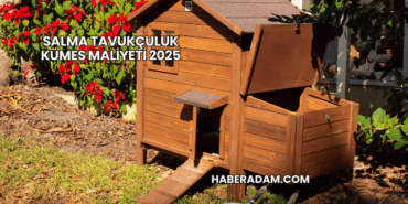 Salma tavukçuluk kümes maliyeti 2025