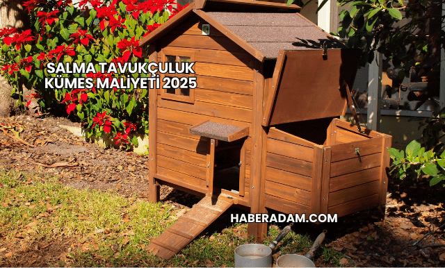 Salma tavukçuluk kümes maliyeti 2025