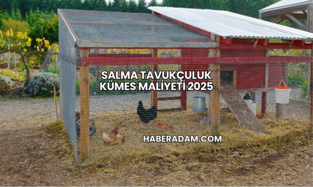 Salma tavukçuluk kümes maliyeti 2025