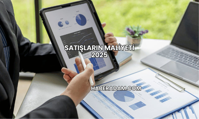 Satışların maliyeti 2025