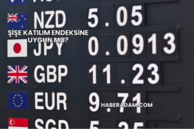 Şişe Katılım Endeksine Uygun mu?