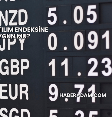 Şişe Katılım Endeksine Uygun mu?