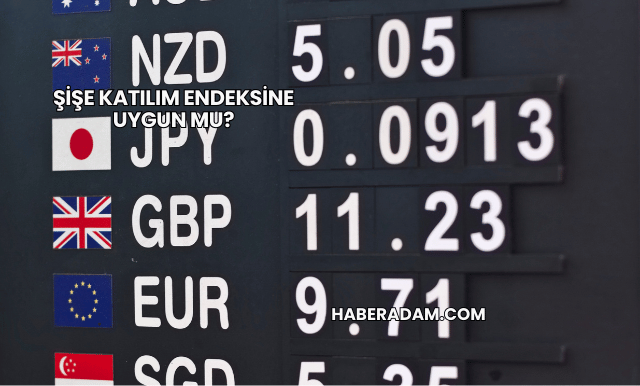 Şişe Katılım Endeksine Uygun mu?