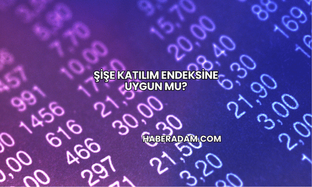 Şişe Katılım Endeksine Uygun mu?