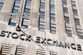 Tatlıpınar Enerji Katılım Endeksine Uygun mu?