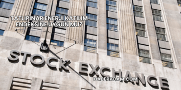Tatlıpınar Enerji Katılım Endeksine Uygun mu?