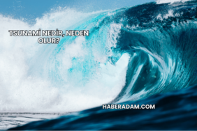 Tsunami Nedir, Neden Olur?